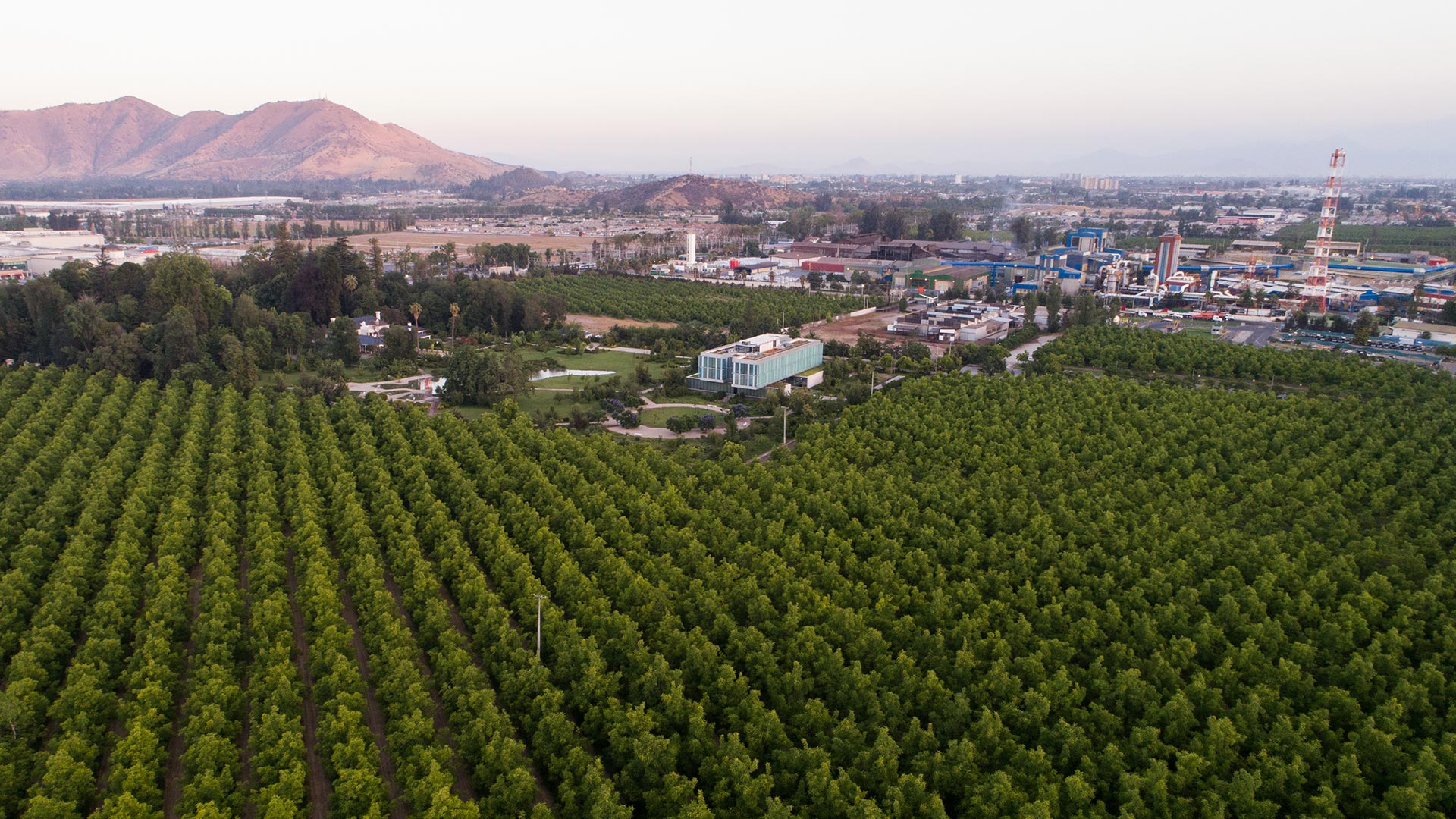 Pulmón verde en San Bernardo