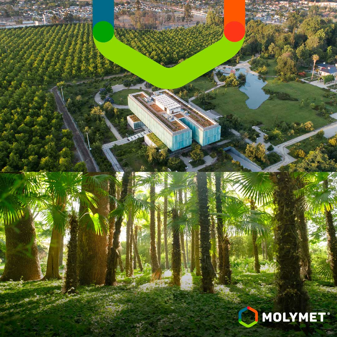 Molymet defines for environmental conservation 123 hectares inserted in the urban  center of the commune