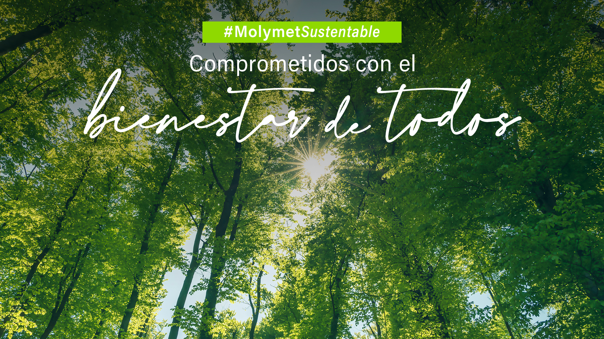 imagen noticia principal