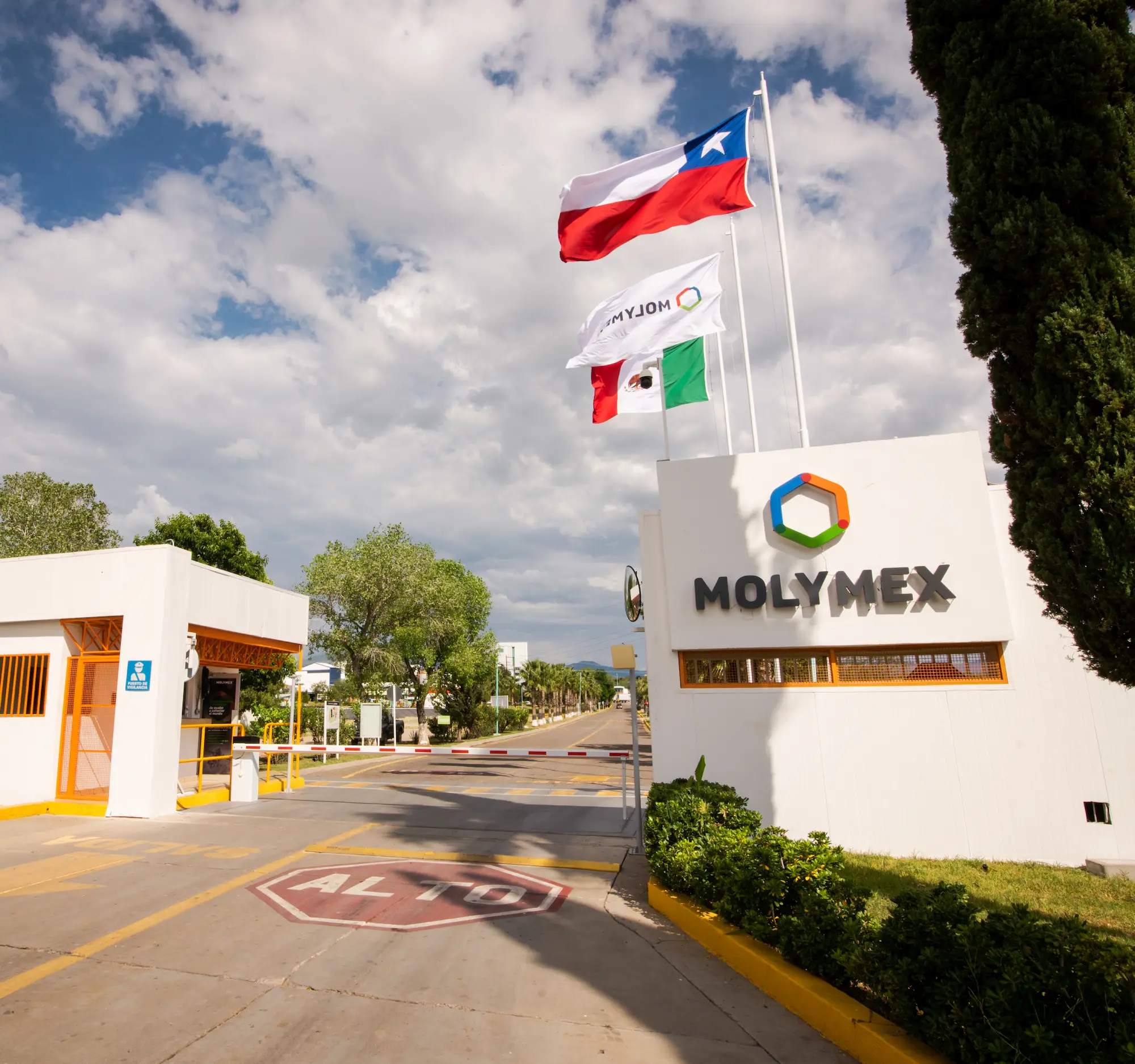 Molymex obtains Gold Medal in Ecovadis 2024