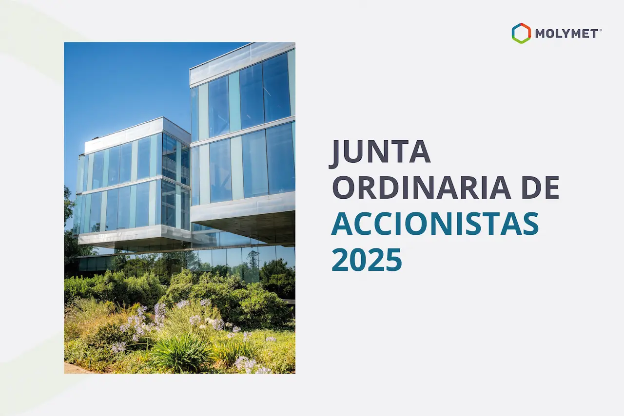 Junta Ordinaria de Accionistas 2025
