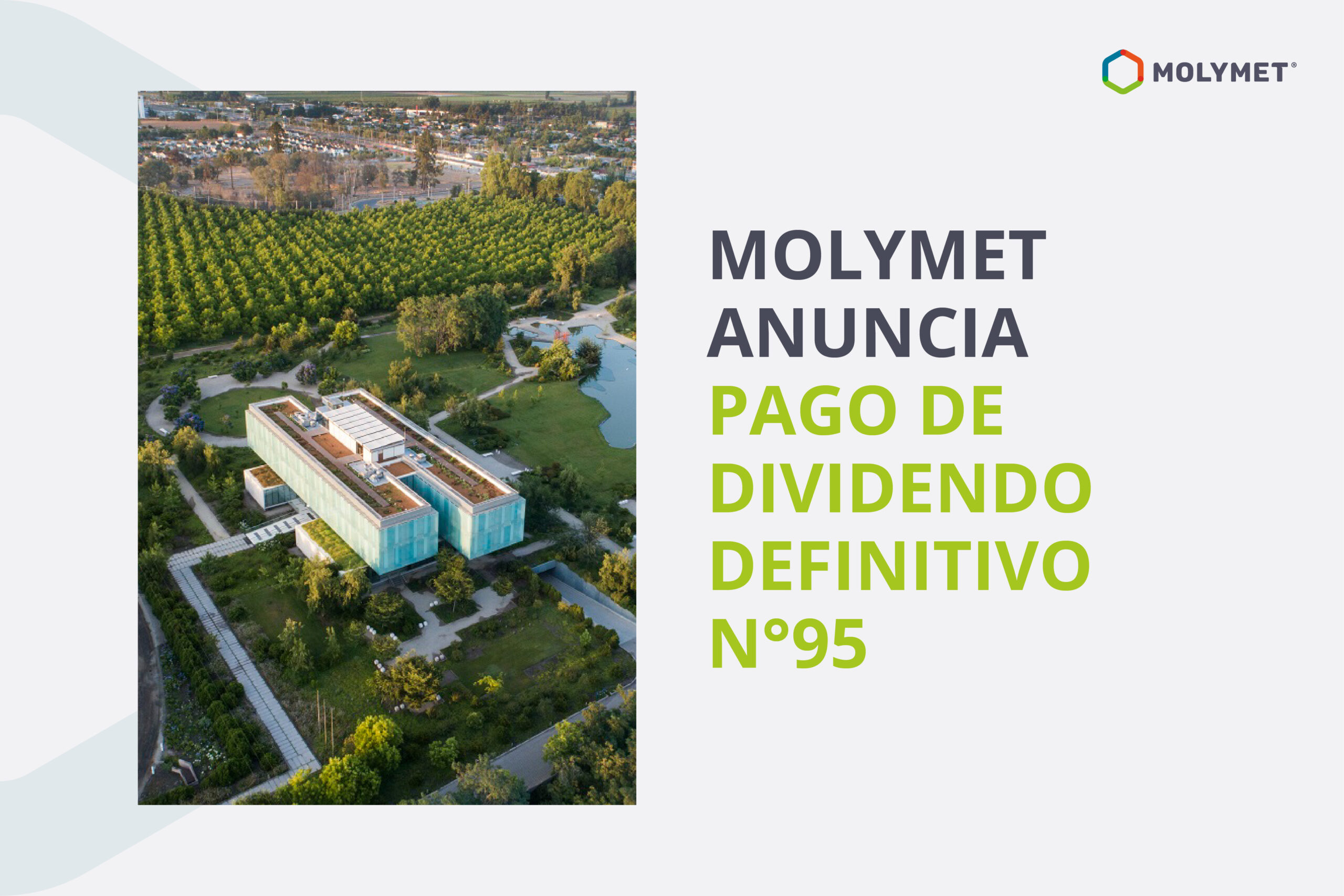 Molymet anuncia pago de dividendo definitivo N°95