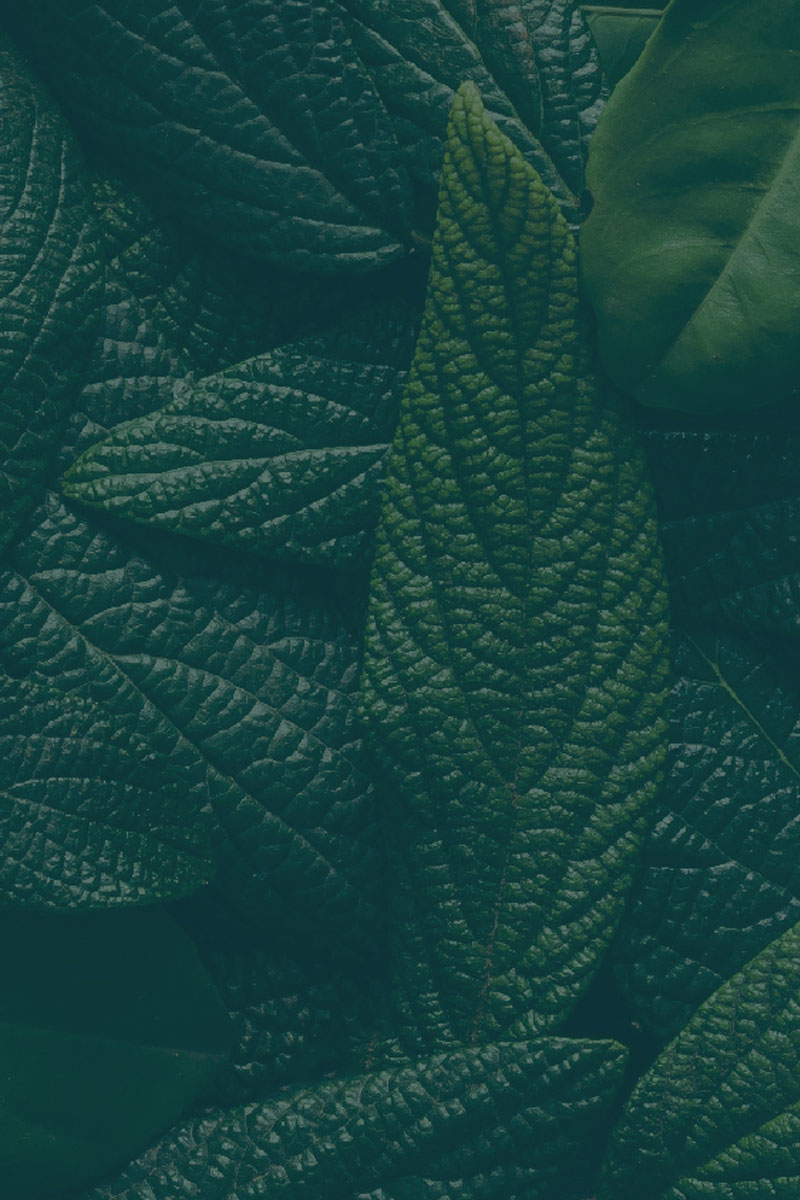 Sustainability Report 2021